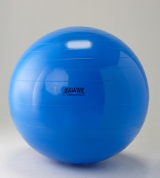 [95.65] Ballon d'exercice GYMNIQUE (Bleu, 65 cm)