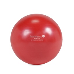 [RME525502] FITNESS BALL REHABMEDIC cvičební míče (Červené, 55 cm)