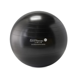[RME526505] FITNESS BALL REHABMEDIC cvičební míče (Černá, 65 cm)