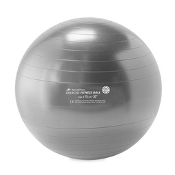 [RME527506] FITNESS BALL REHABMEDIC cvičební míče (stříbrný, 75 cm)